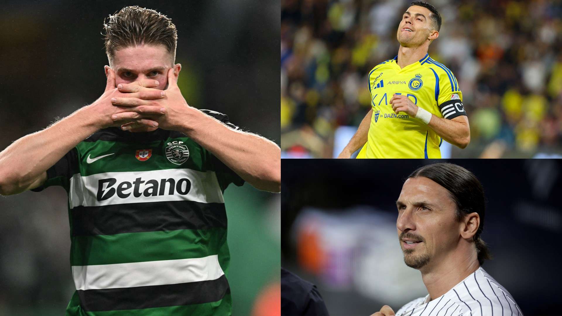 整体的前景 整体的前景