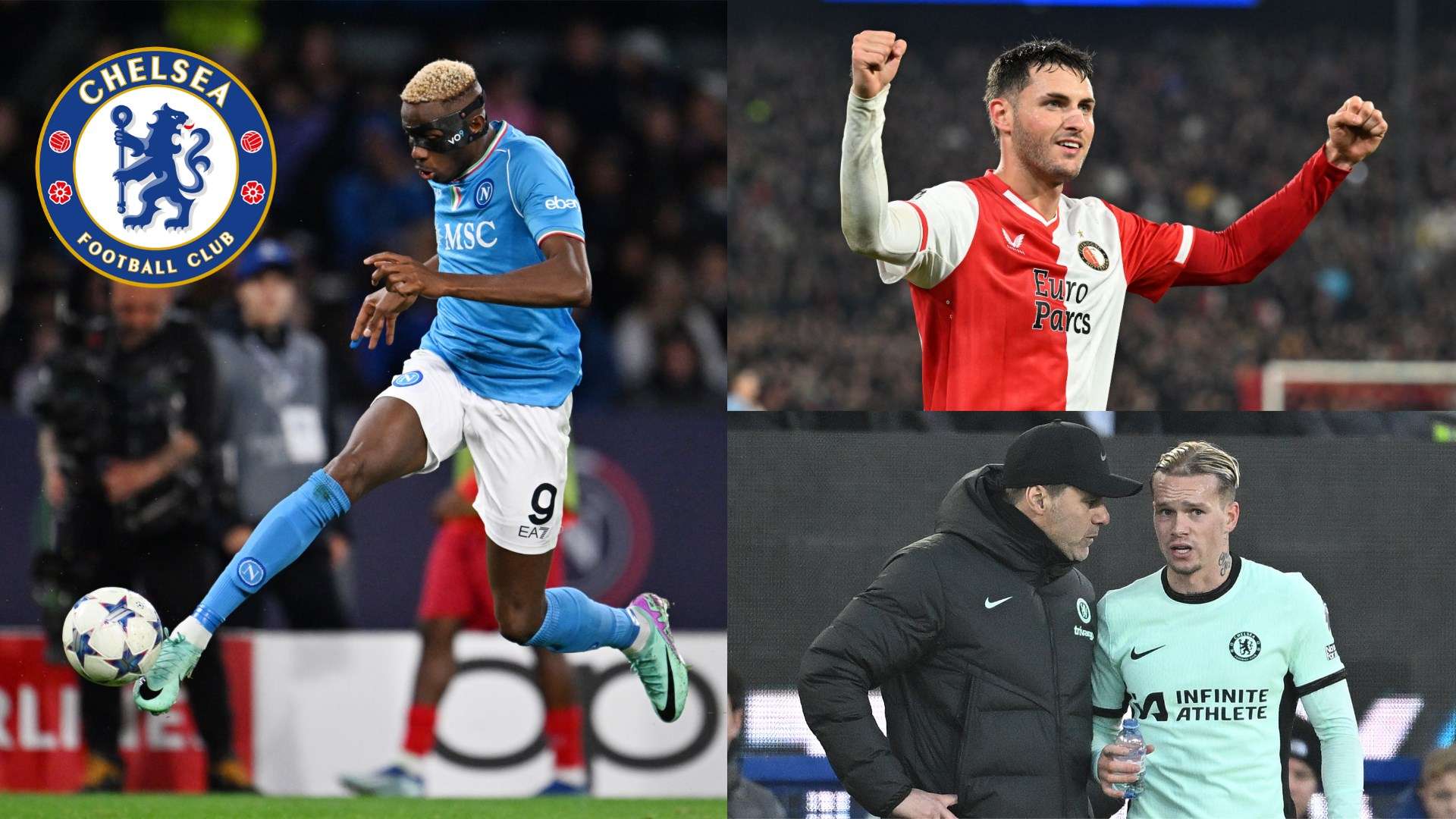 他們都展現 他們都展現