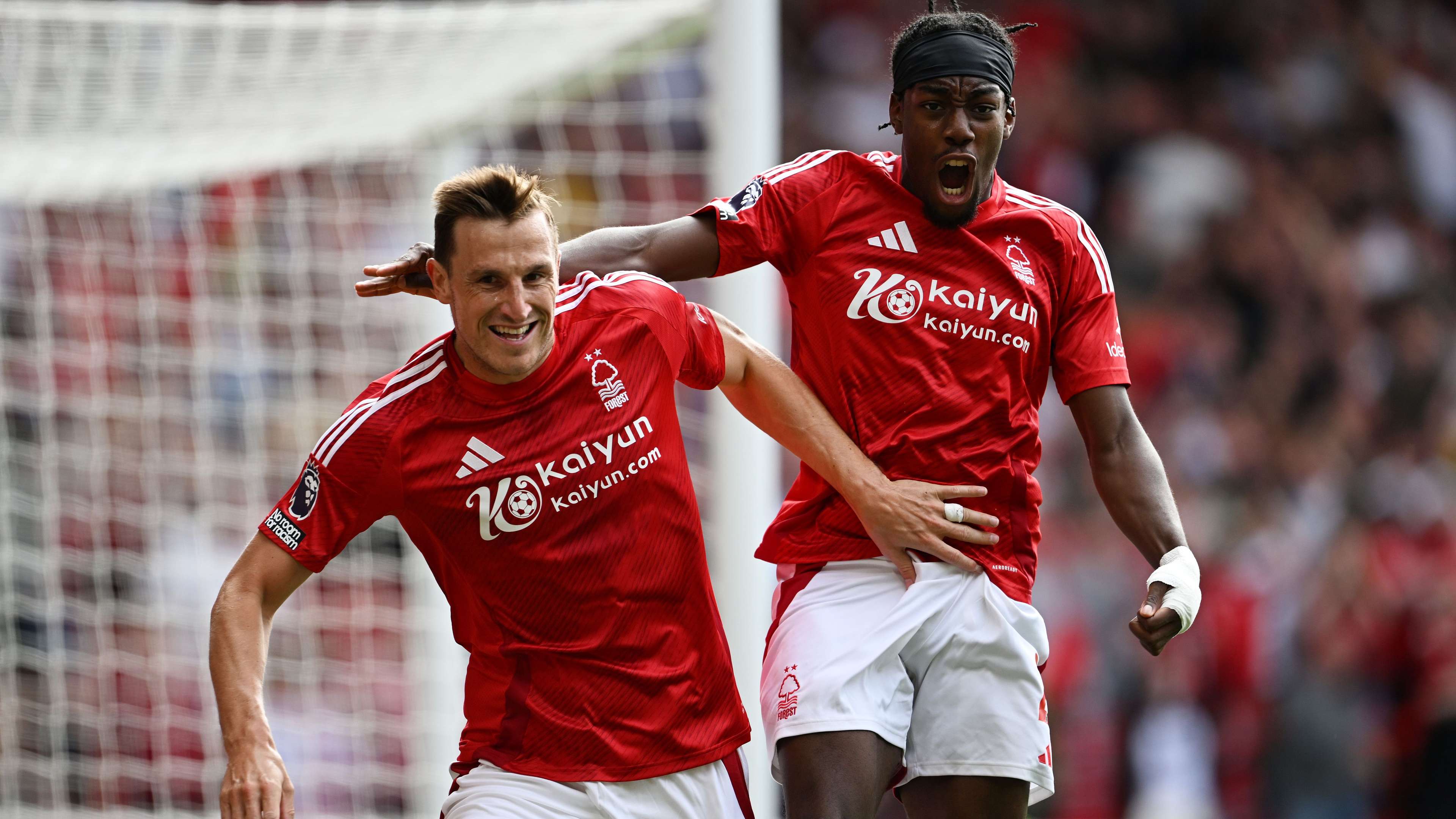 的稳健续约 的稳健续约