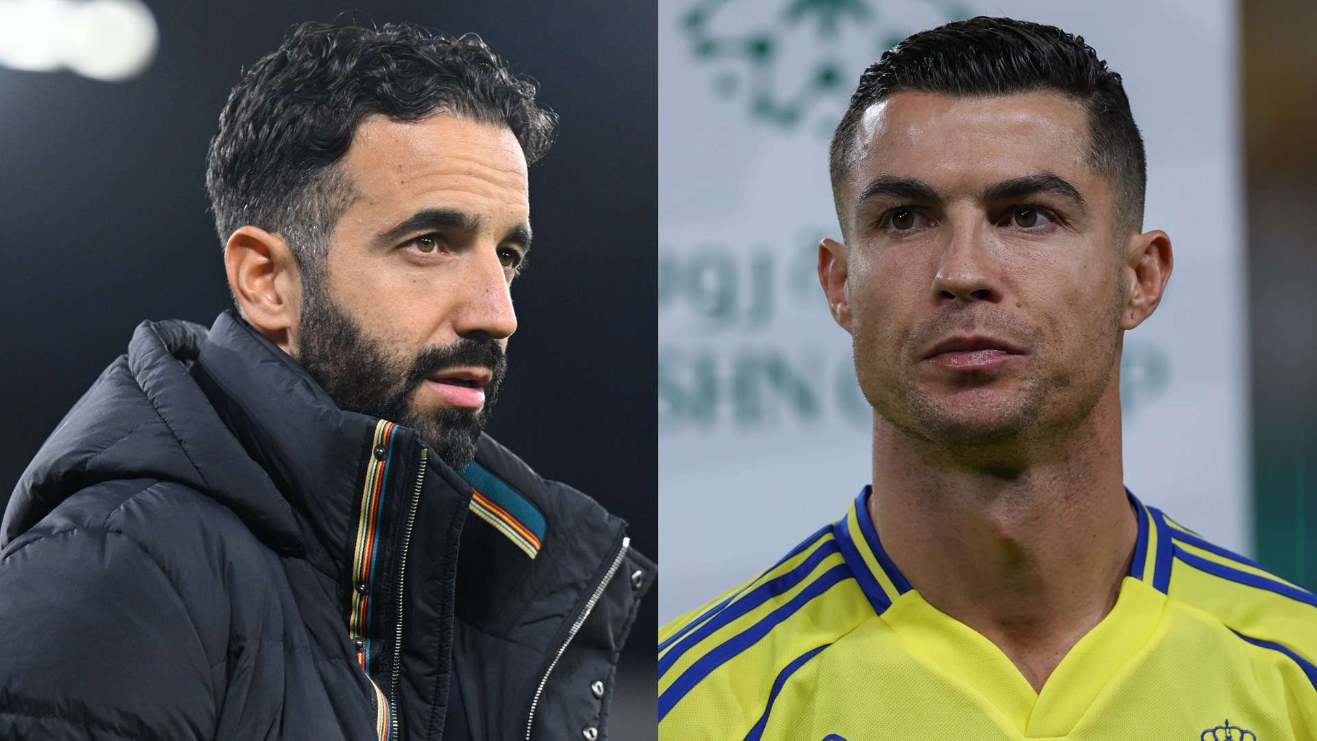 无论最终花 无论最终花