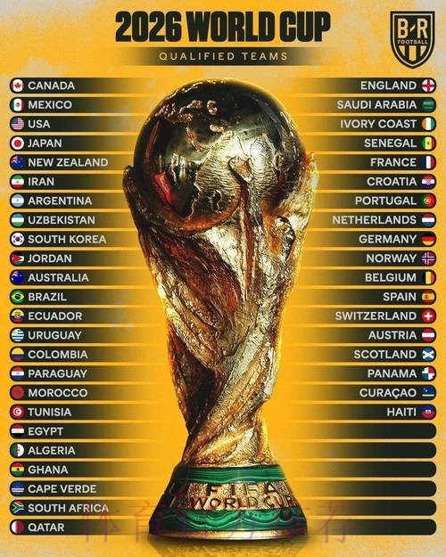 2026年世界杯投注赔率的深度解读 2026年世界杯投注赔率的深度解读